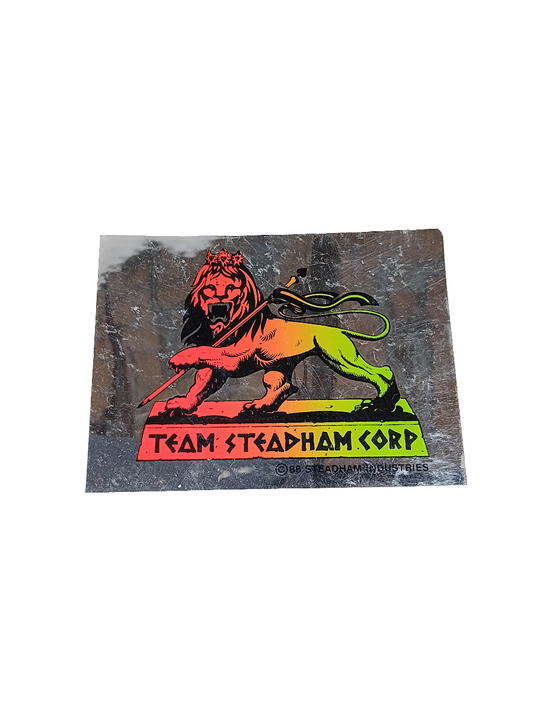 Steve Steadham Team Steadham Corp Rasta Lion Foil Silver 3.4" X 2.5" Inch Vintage NOS Sticker