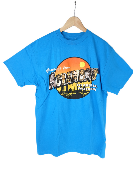 Altamont Greetings From Altamont Blue Orange Multi Size L S/s Vintage Shirt