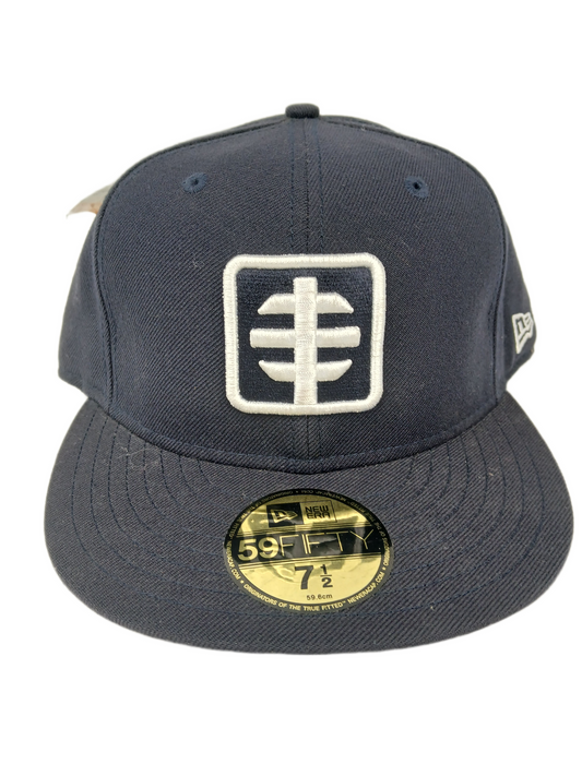 Alien Workshop X New Era Area AWS Logo Black Silver Size 7 1/2 Vintage 59Fifty Fitted Hat