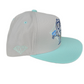 Gold X Diamond Tooth Graphic Turquoise Silver Grey One Size Fits All Vintage Snapback Hat
