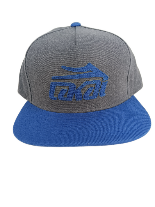 Lakai Etched Charcoal Blue One Size Fits All Vintage Snapback Hat
