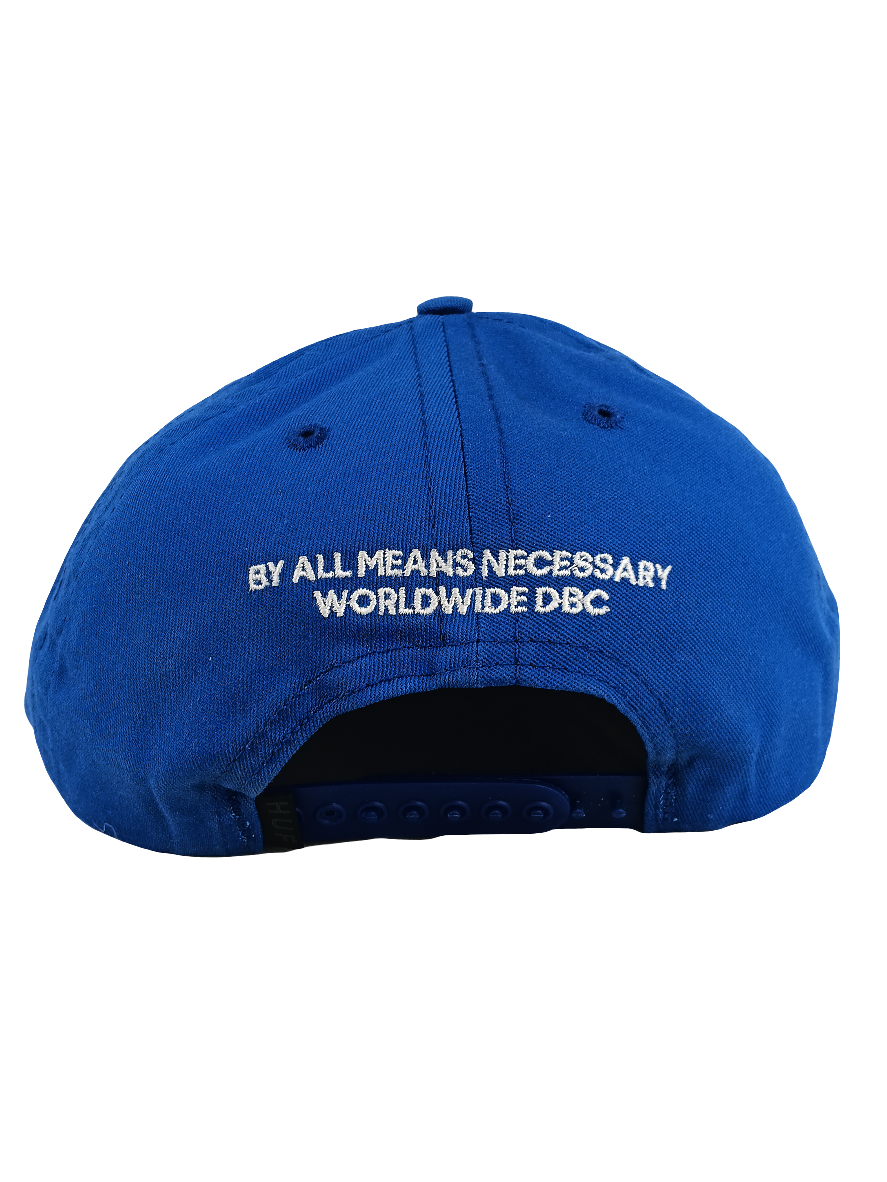 HUF By All Means Necessary Pyramid Logo Blue Silver Vintage Snapback Hat